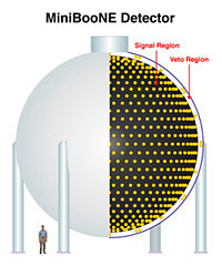 The MiniBooNE experiment uses 1,280 photomultiplier tubes to detect neutrinos interacting in a tank of mineral oil.