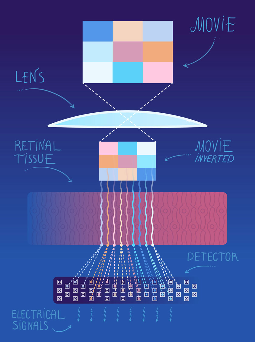 Illustration of Application: EyeDiagram