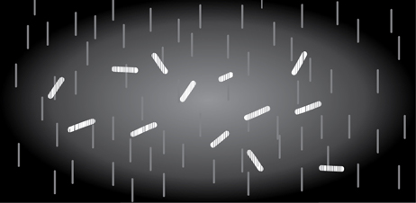 Illustration of CC Trail 1