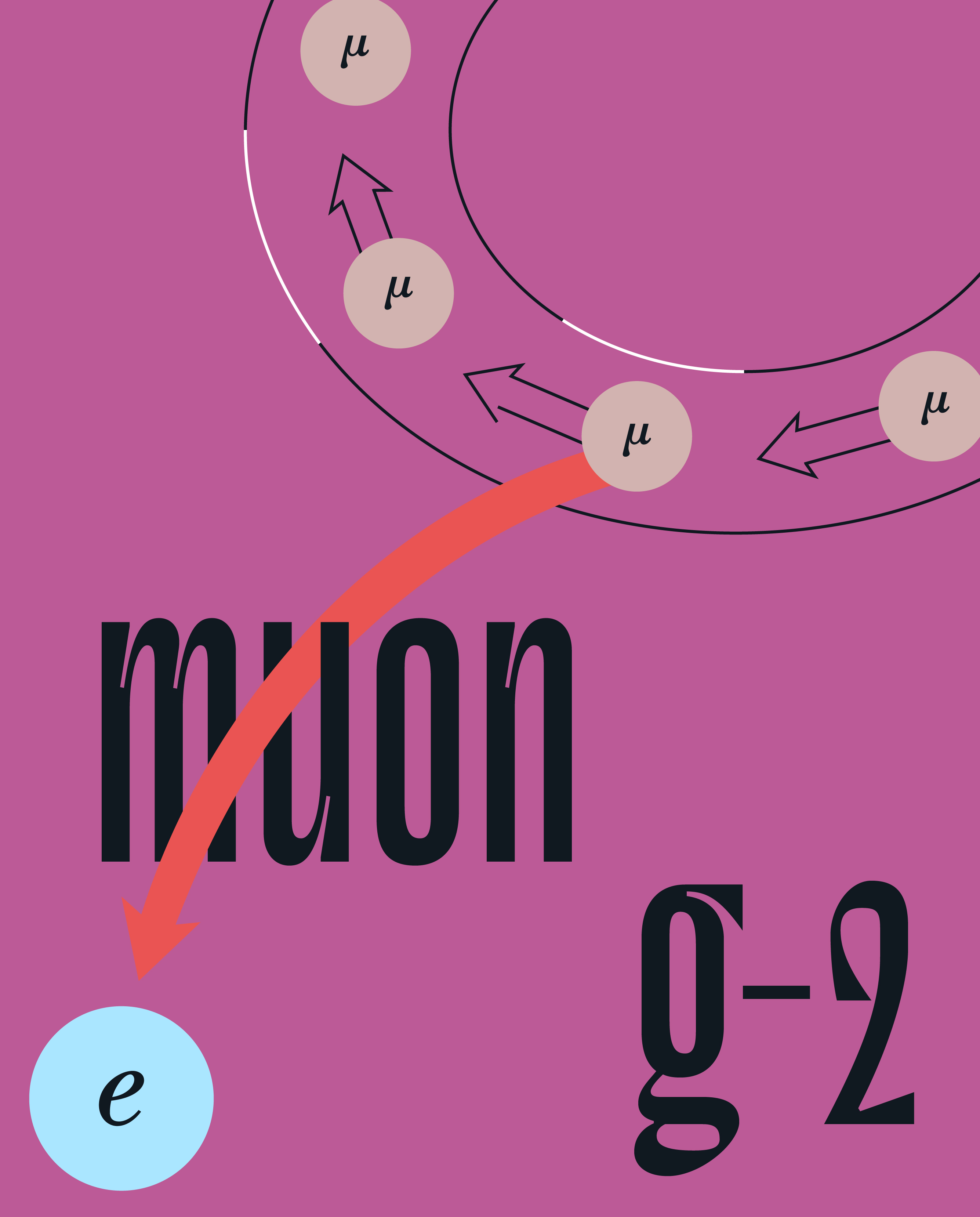 muon g-2