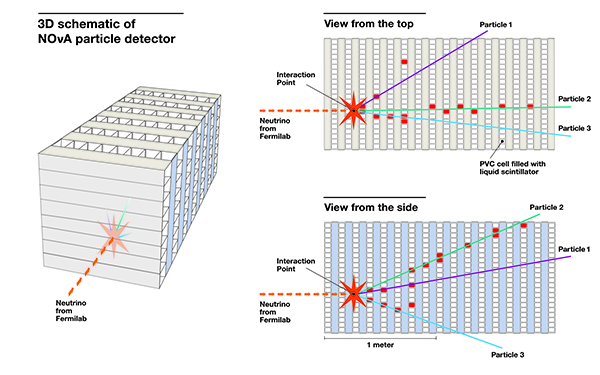 Illustration of NOvA first neutrino chart