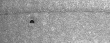 Photo of COUPP-60 first bubble detail