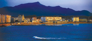 Panoramic View