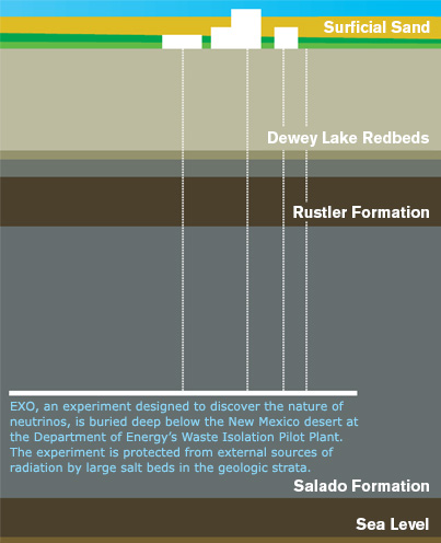 Neutrino's Identity