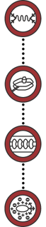 Subatomic Scale