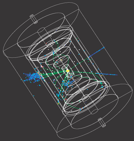 ILC detector