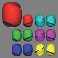 The Quarks Series