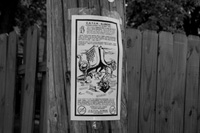 CATCH Illinois Poster