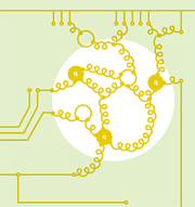 Feynman Diagrams