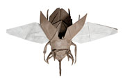 Flying Eupatorus, opus 368