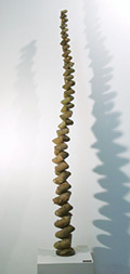 Tall Fir Alpha Helix