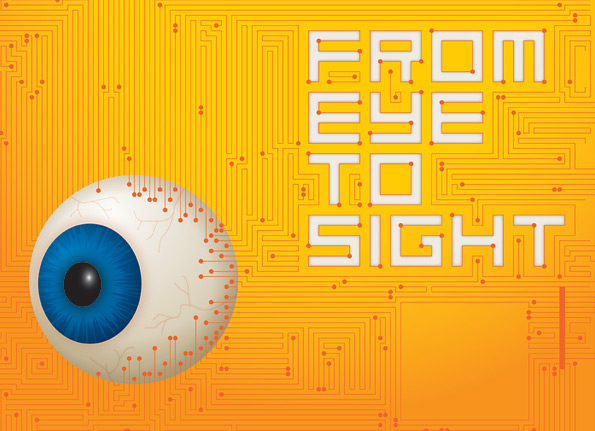 From eye to sight