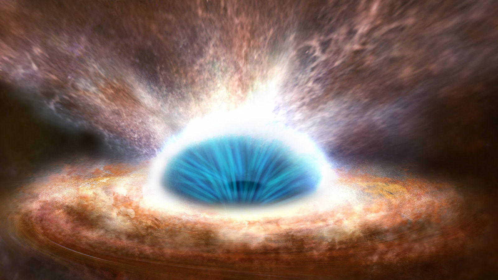 New X-ray eye in the sky