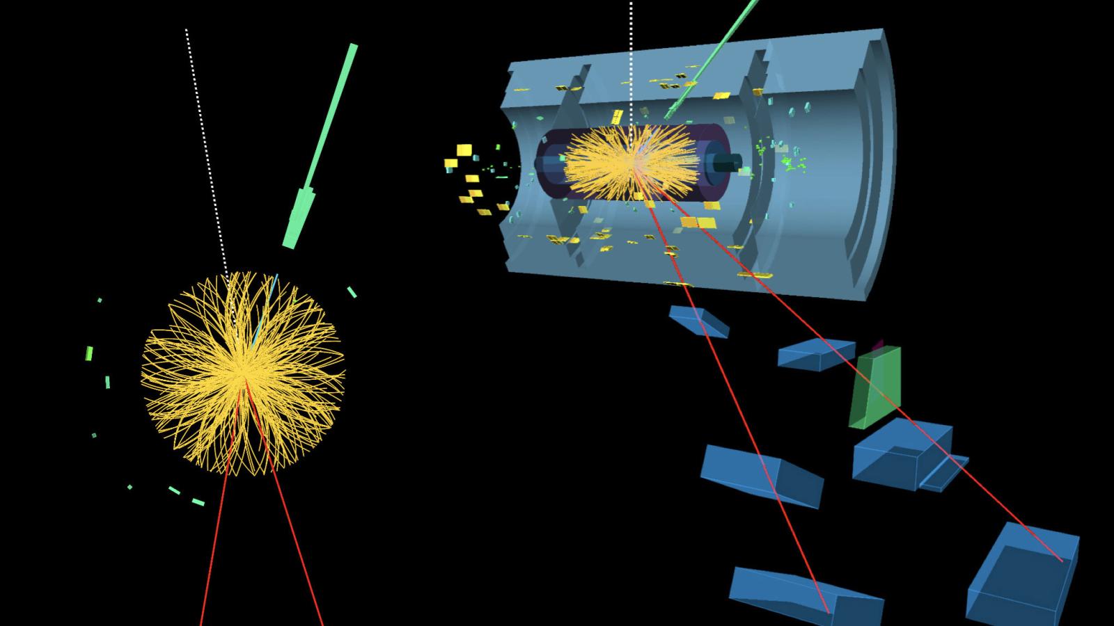 ATLAS joint polarization measurement