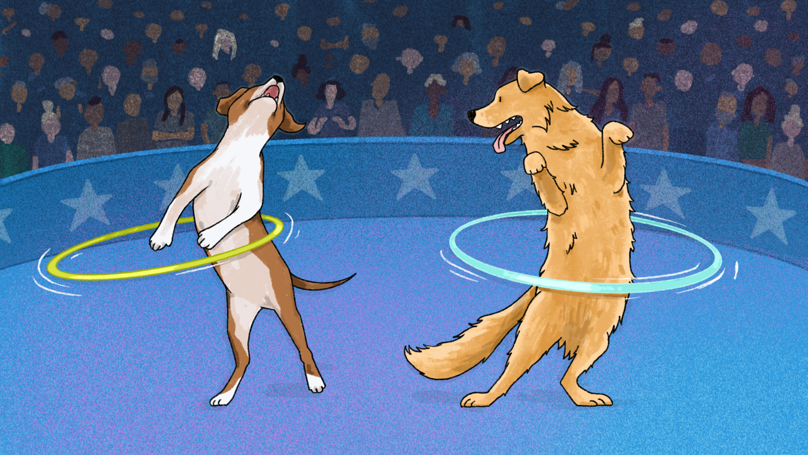 Illustration of two dogs hula hooping in front of an audience