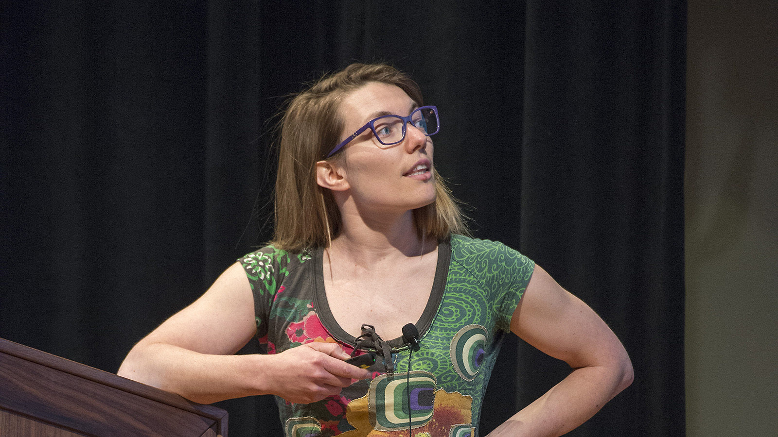 Photo of Angela Fava giving a talk at the Fermilab User's Meeting