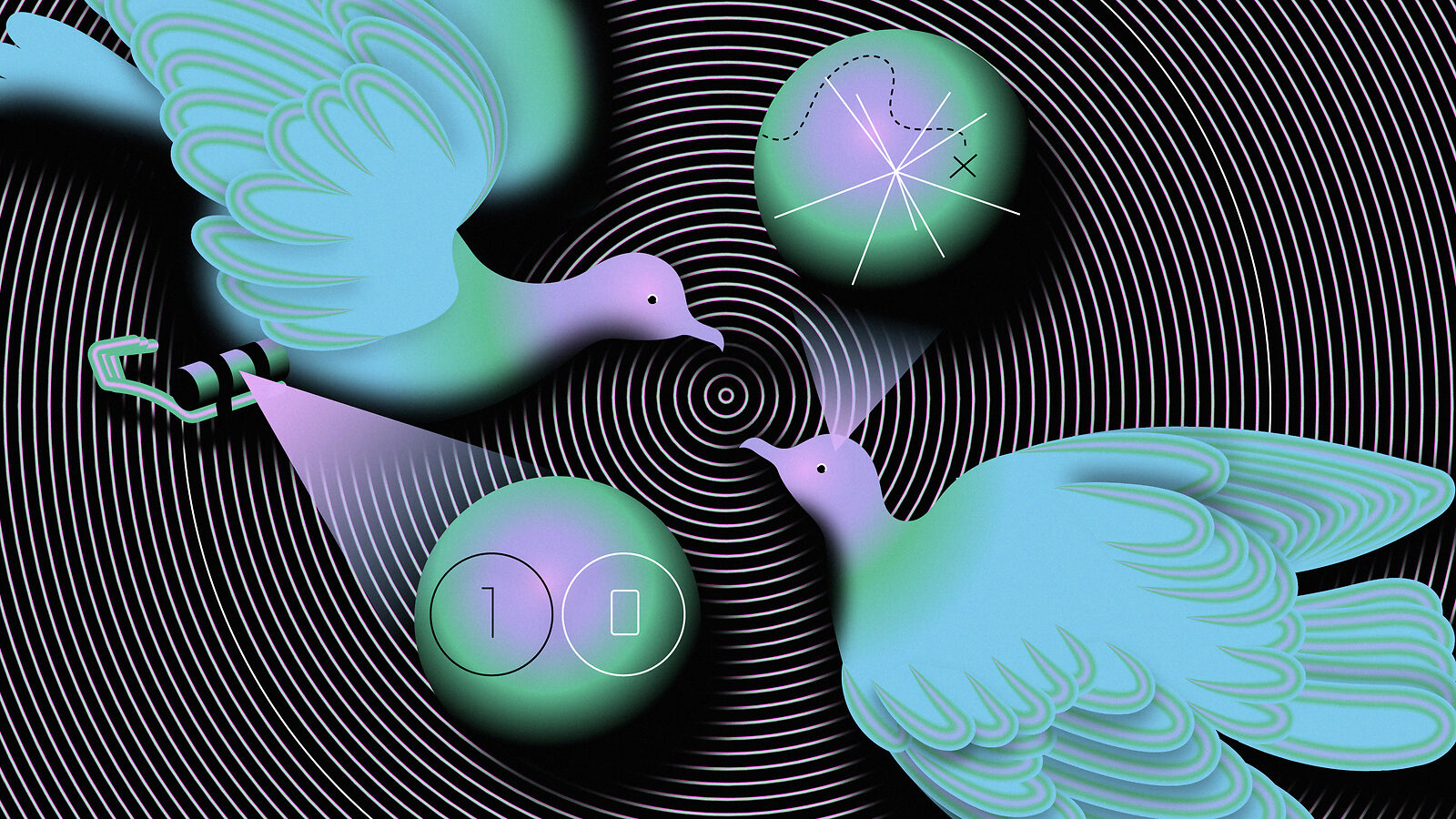 Illustration of two birds