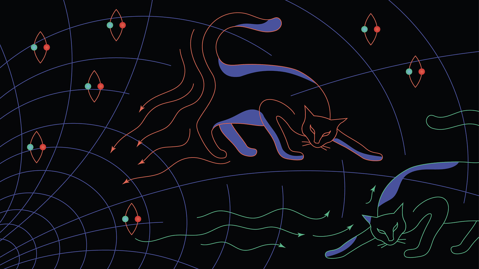 Illustration of cats representing correlated information inside and outside of a black hole