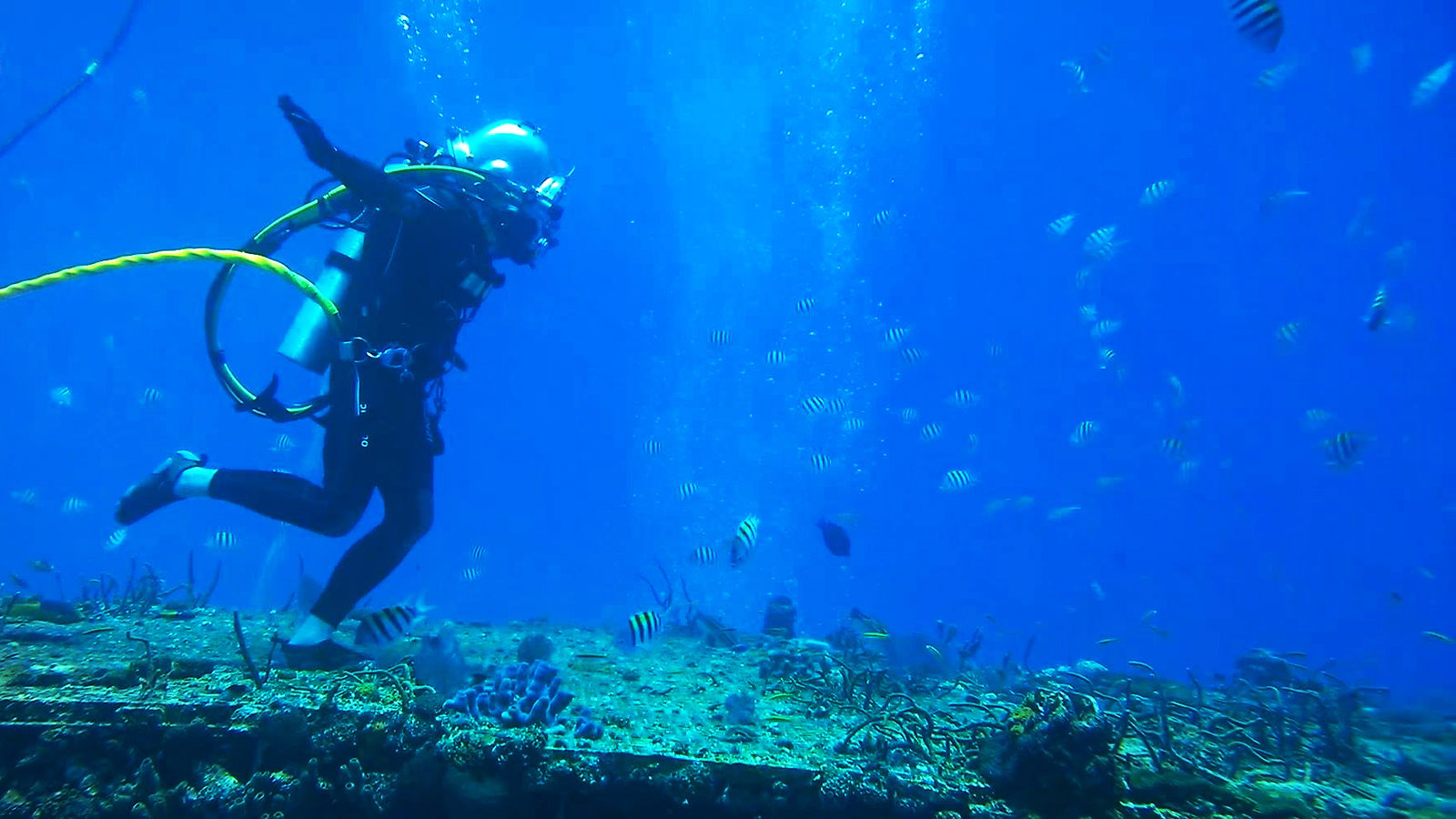 Grace Young walking on the ocean floor