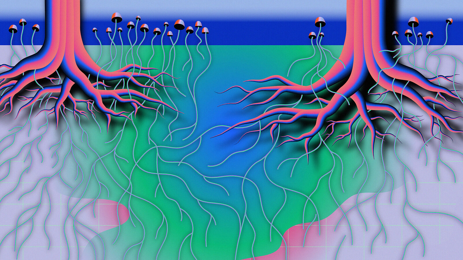 Illustration of tree roots and mushrooms