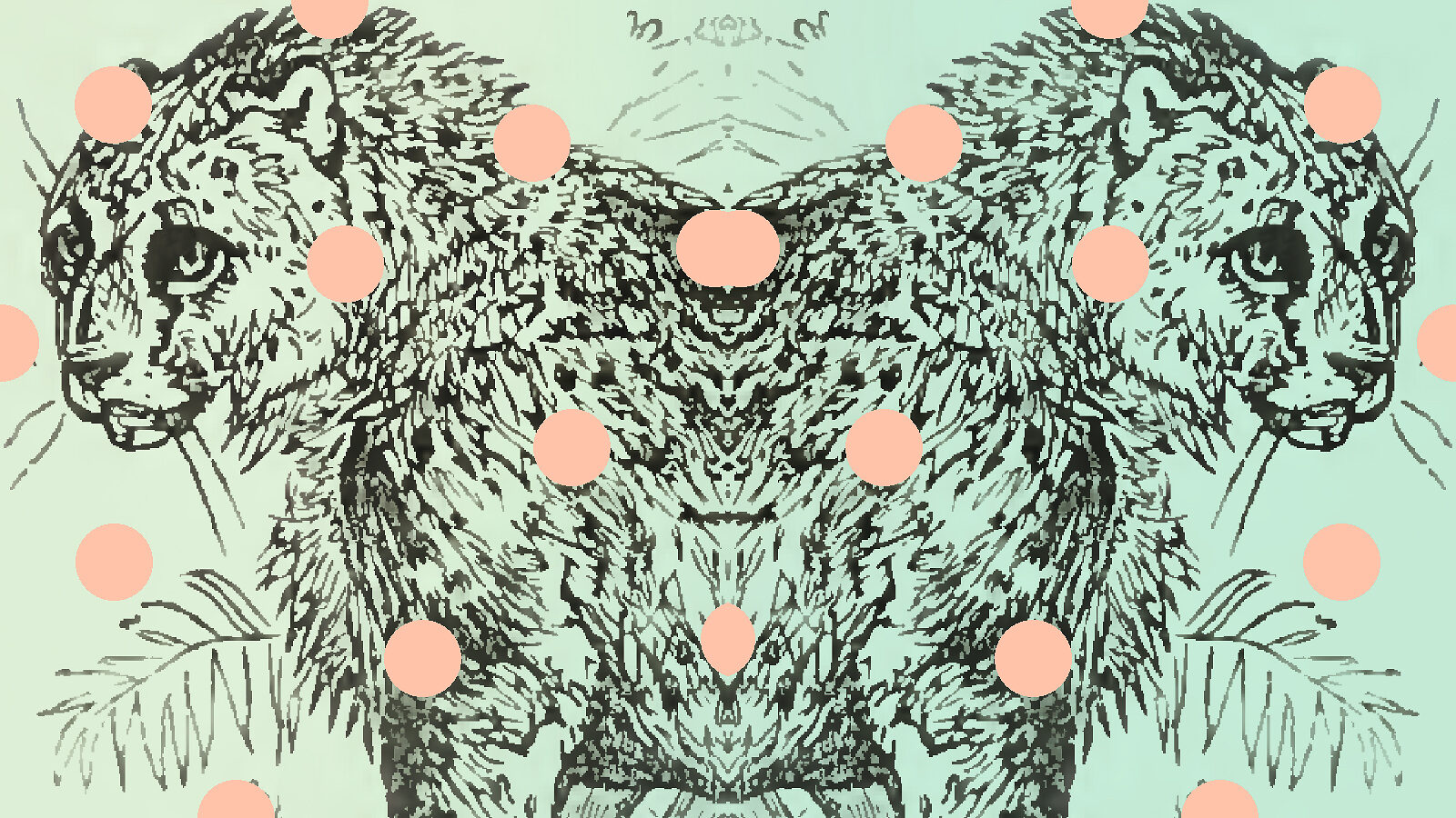 Illustration: a mirror image of a cat