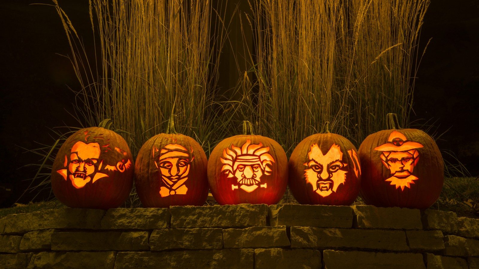 Photo of Jack o' Lanterns lined up 