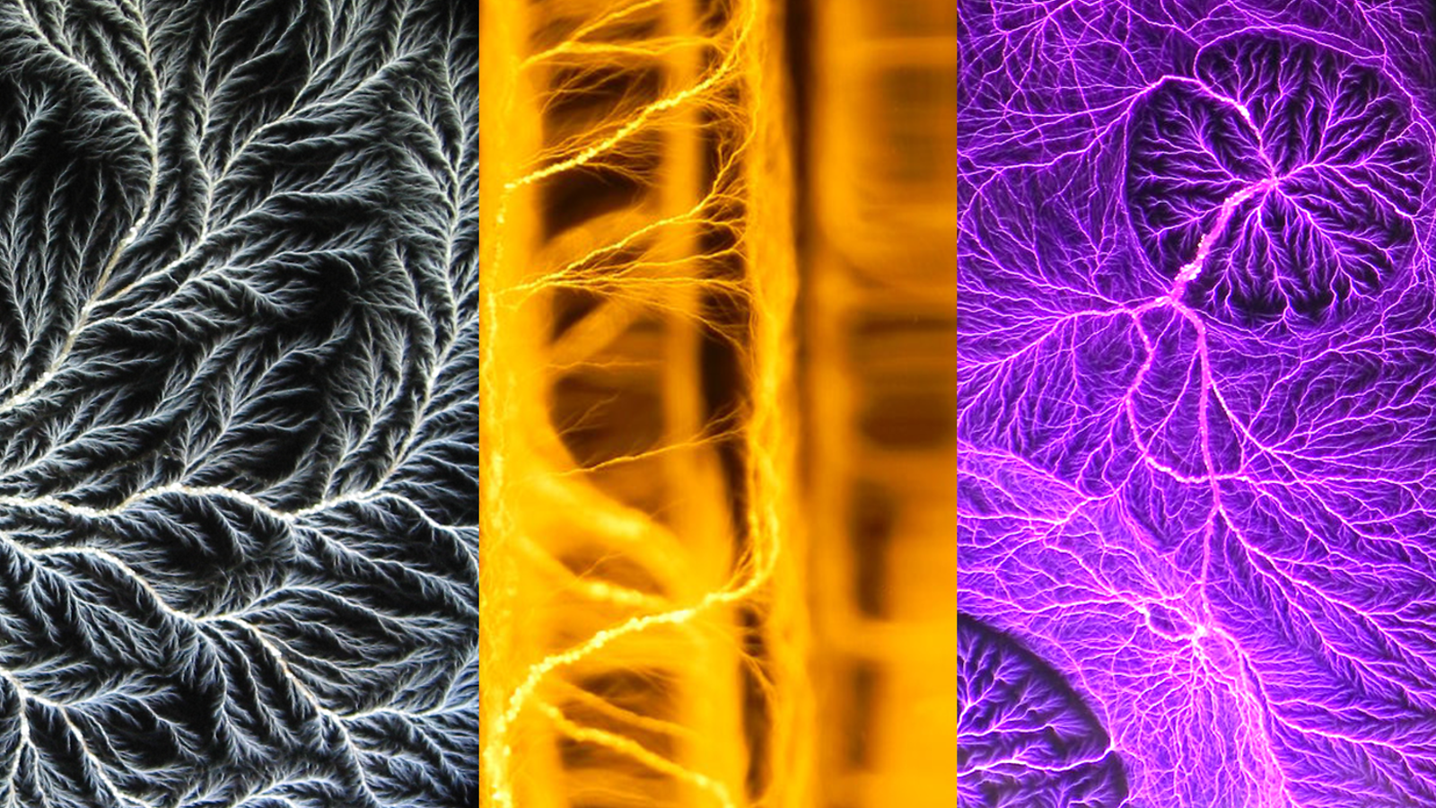 Triptych showing three different pieces of accelerator art 