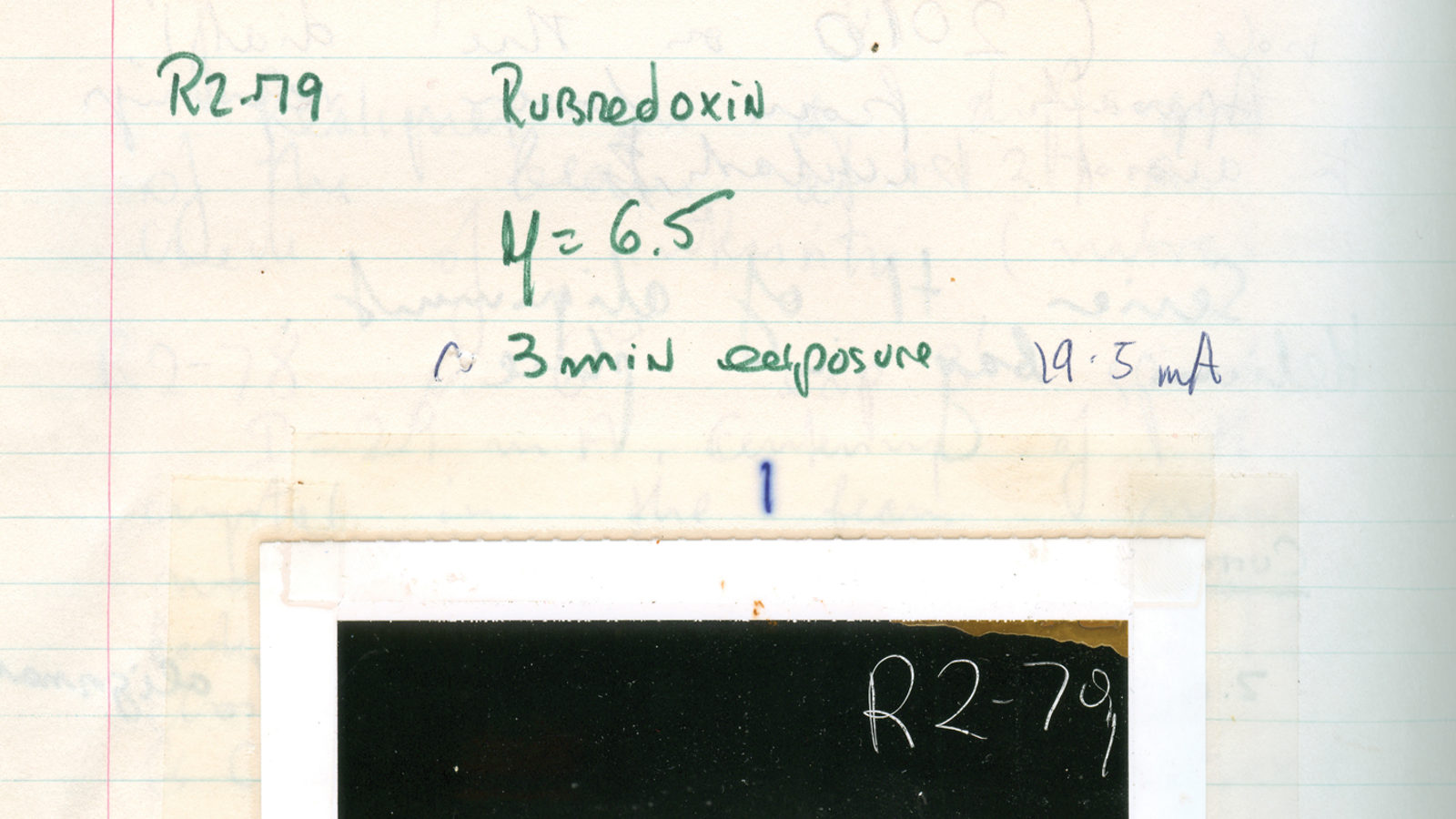 Logbook: May 2011