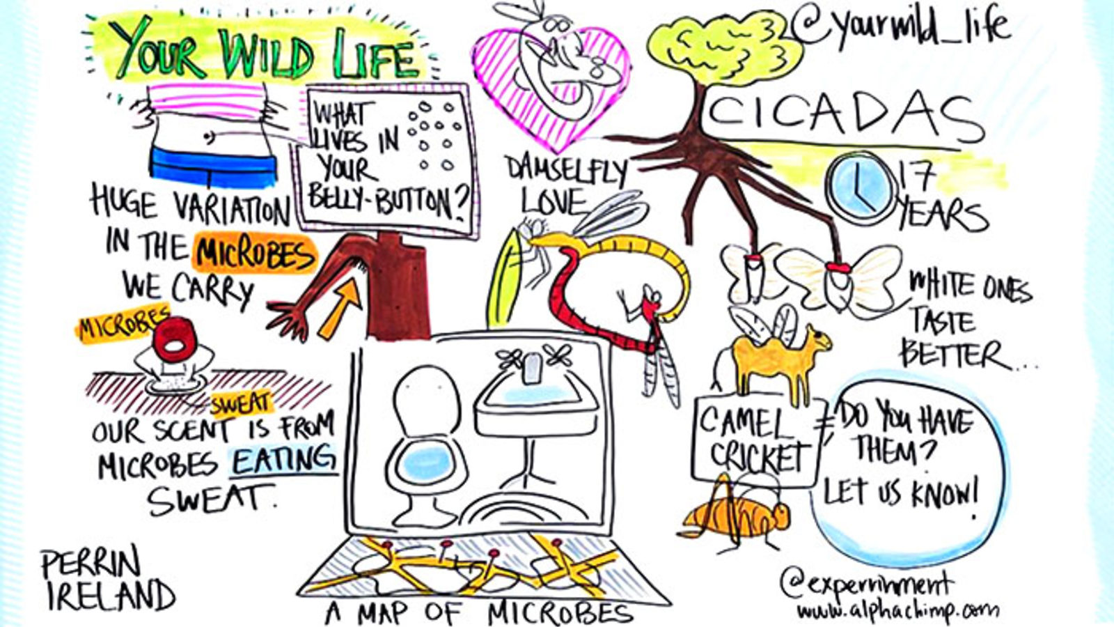 Illustration of "Your Wild Life" Huge variation in the microbes we carry microbes