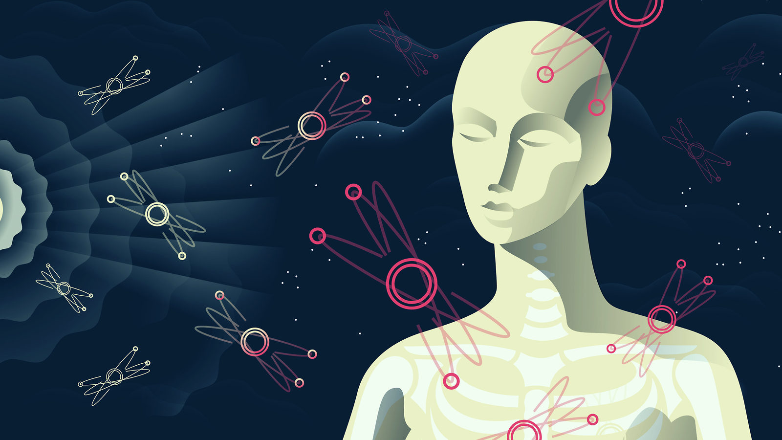 Illustration of the particle physics of you
