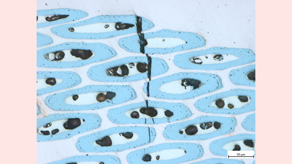 microscope image