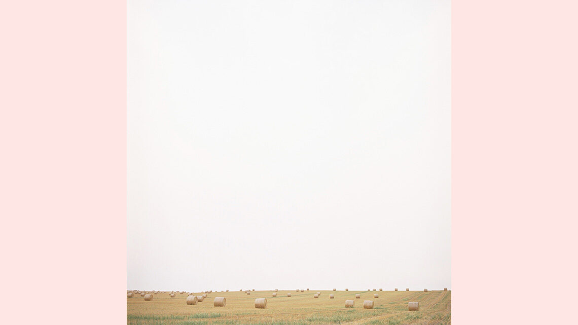 Bales of hay in an open field