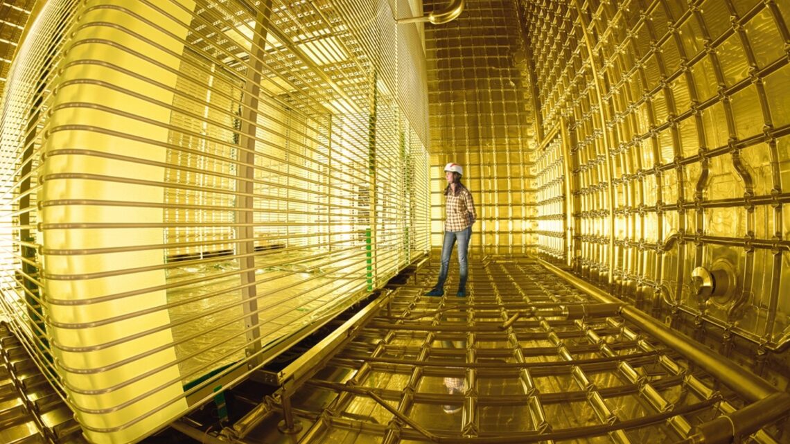 Chetna Krishna in an experiment space