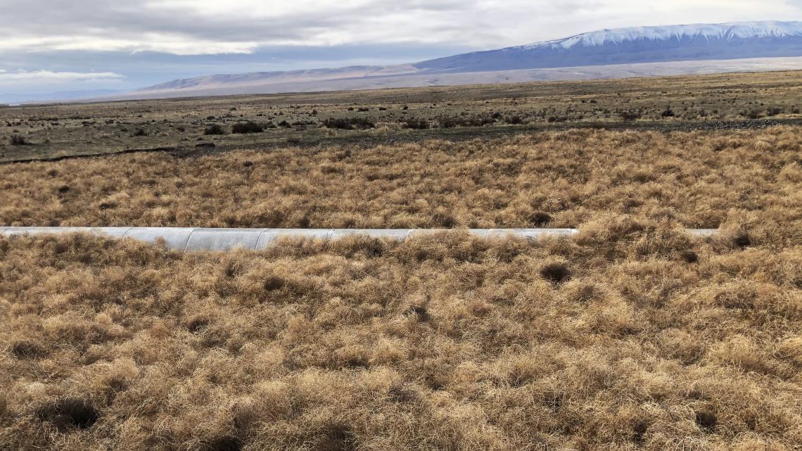 LIGO experiment pictured in nature