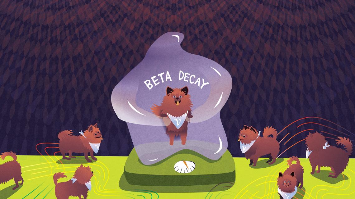 Illustration of A bubble-like blob that says “BETA DECAY” holds a neutrino dog and stands on a bathroom scale