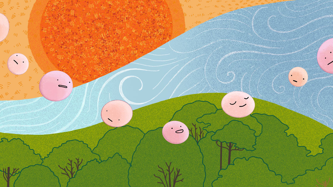 Neutrinos floating through the sun, sky and earth