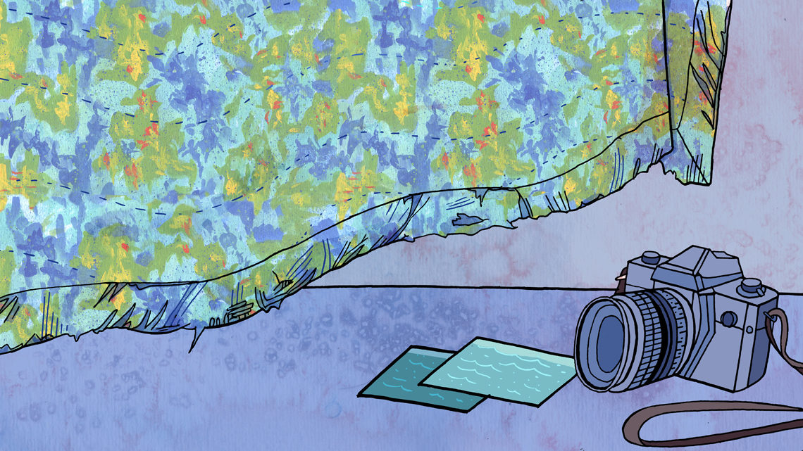 Camera sitting on floor of room, with pictures next to large patterned curtain 