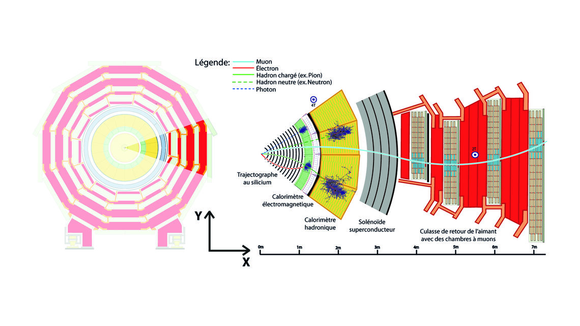 Diagram of the progress of a muon through the CMS detector