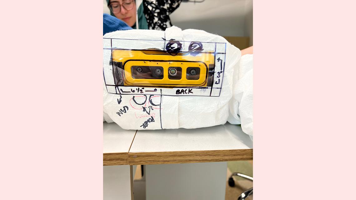 View of the robot's head