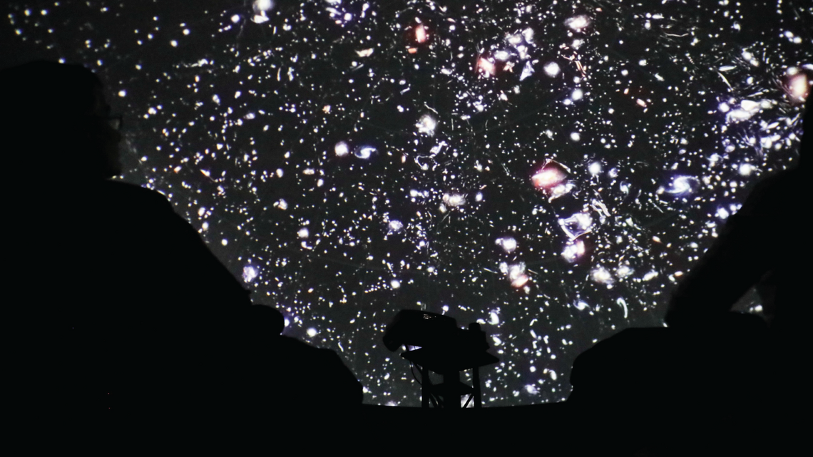 Photo of actress Tilda Swinton narrated the planetarium show, audiences viewed at different Dark Matter Day events
