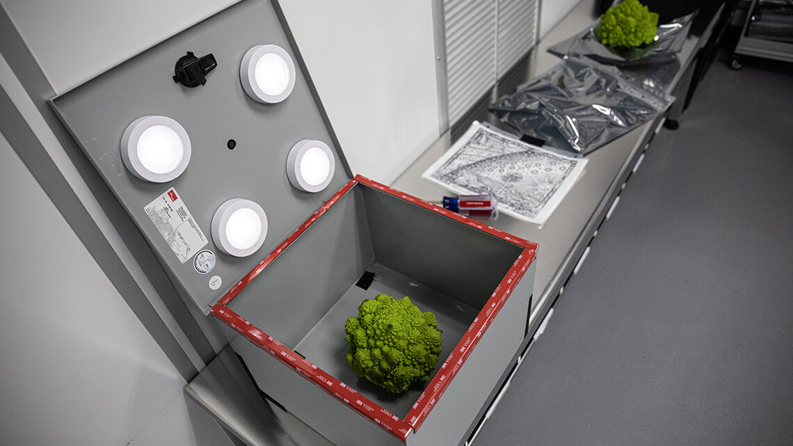 Photograph of a head of Romanesco inside a box