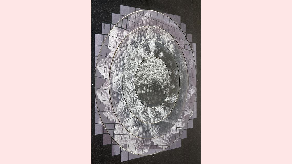 Photograph of the Romanesco photo printed on four concentric dials