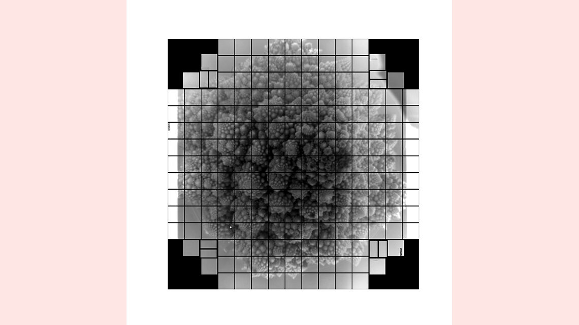 Grid of images that make up a photograph of a head of Romanesco
