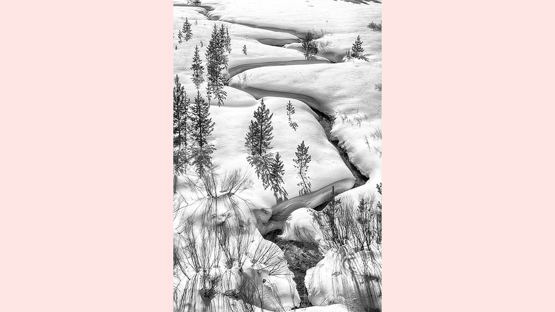 Snowy Landscape