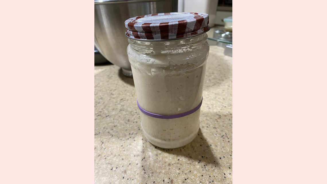 Sourdough starter