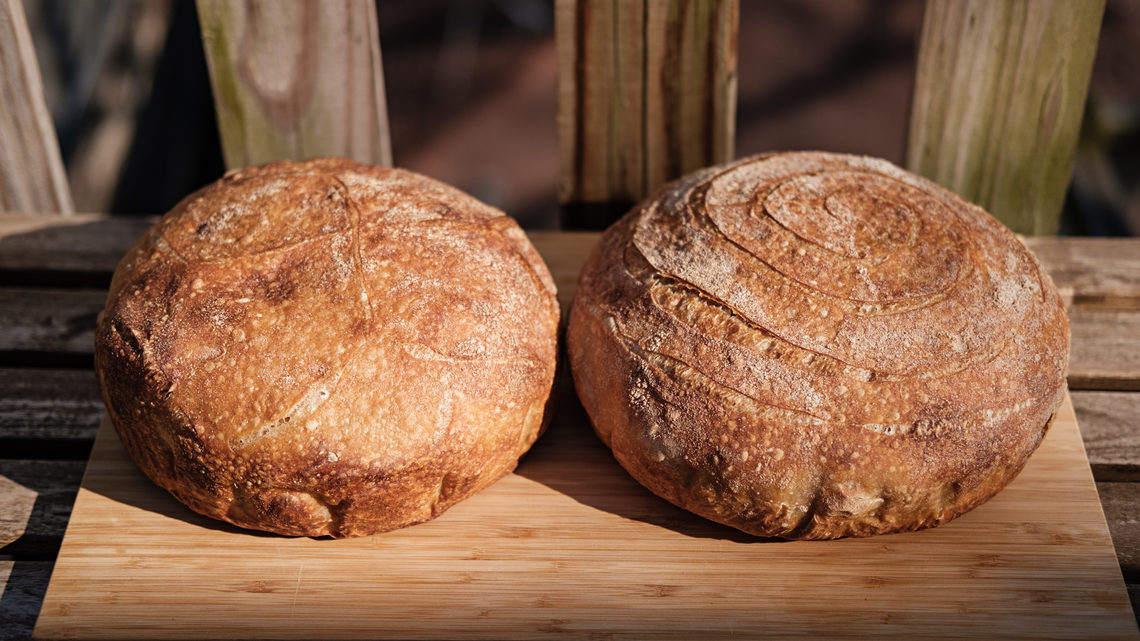 Sourdough boules