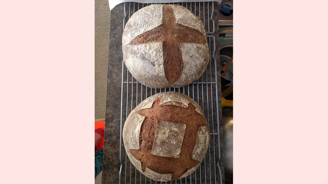 Two sourdough boules cool on a rack