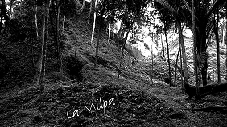 An image of the pyramid under jungle growth