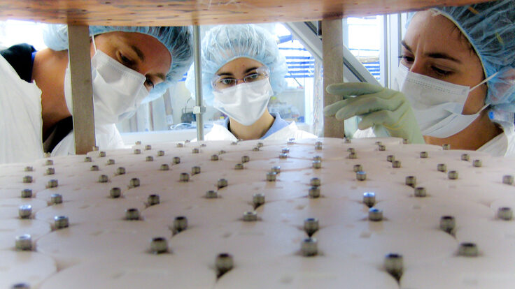 LUX scientists