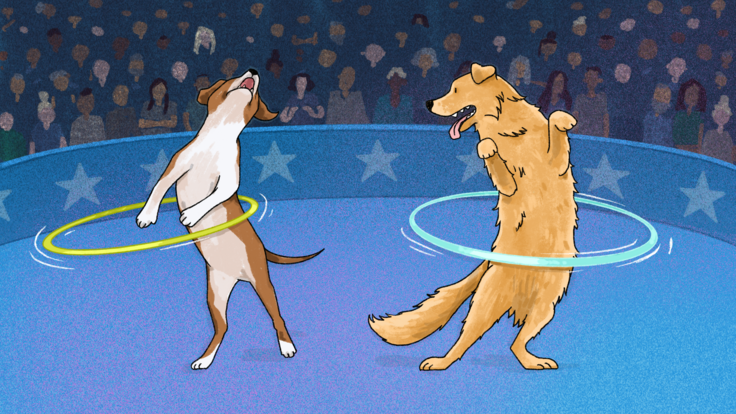 Illustration of two dogs hula hooping in front of an audience